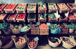 visual fresh produce market