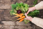 visual healthy produce