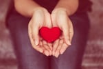 visual heart in hands