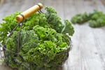visual kale
