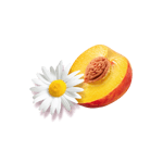 melocoton