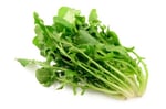 ingrediente achicoria