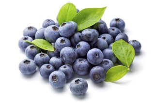 ingrediente arandanos