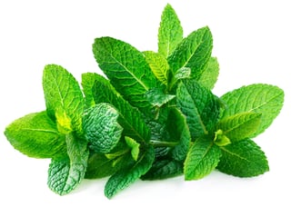ingrediente hierbabuena