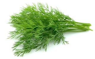 ingrediente hinojo