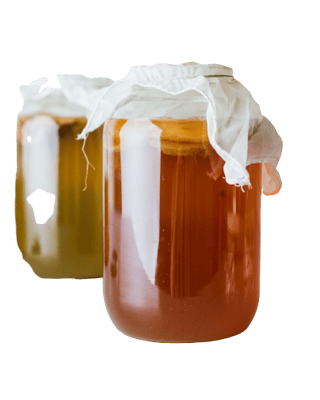 ingrediente kombucha