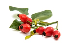 ingrediente rosa mosqueta