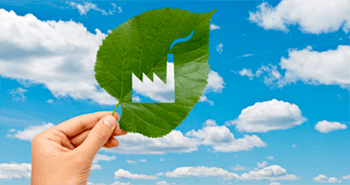 visual natural fuels