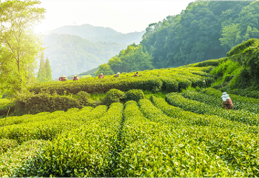 visual farmers working on land
