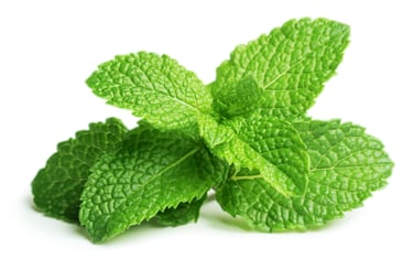 ingrediente menta