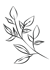 icon tea plant