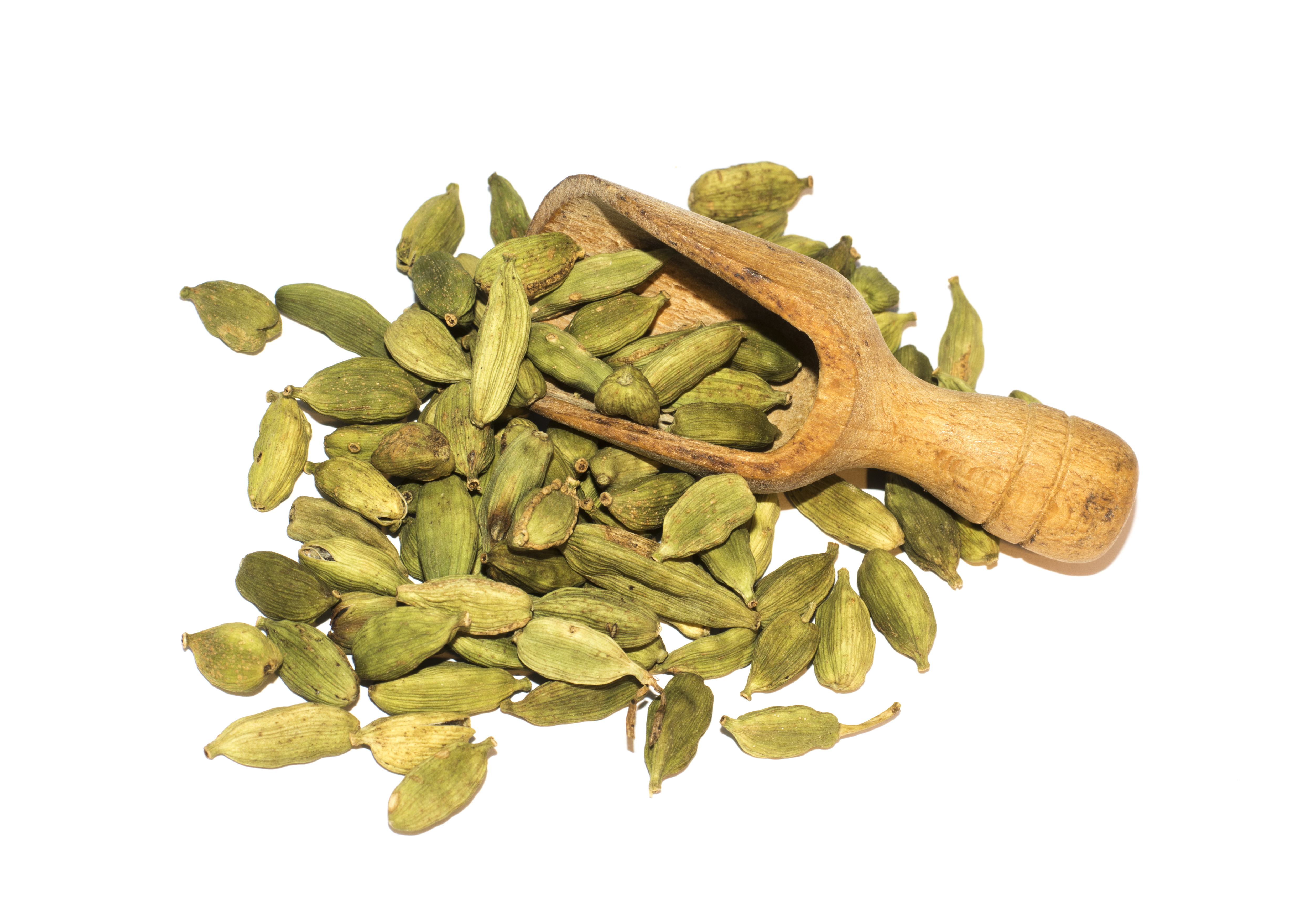 Cardamomo