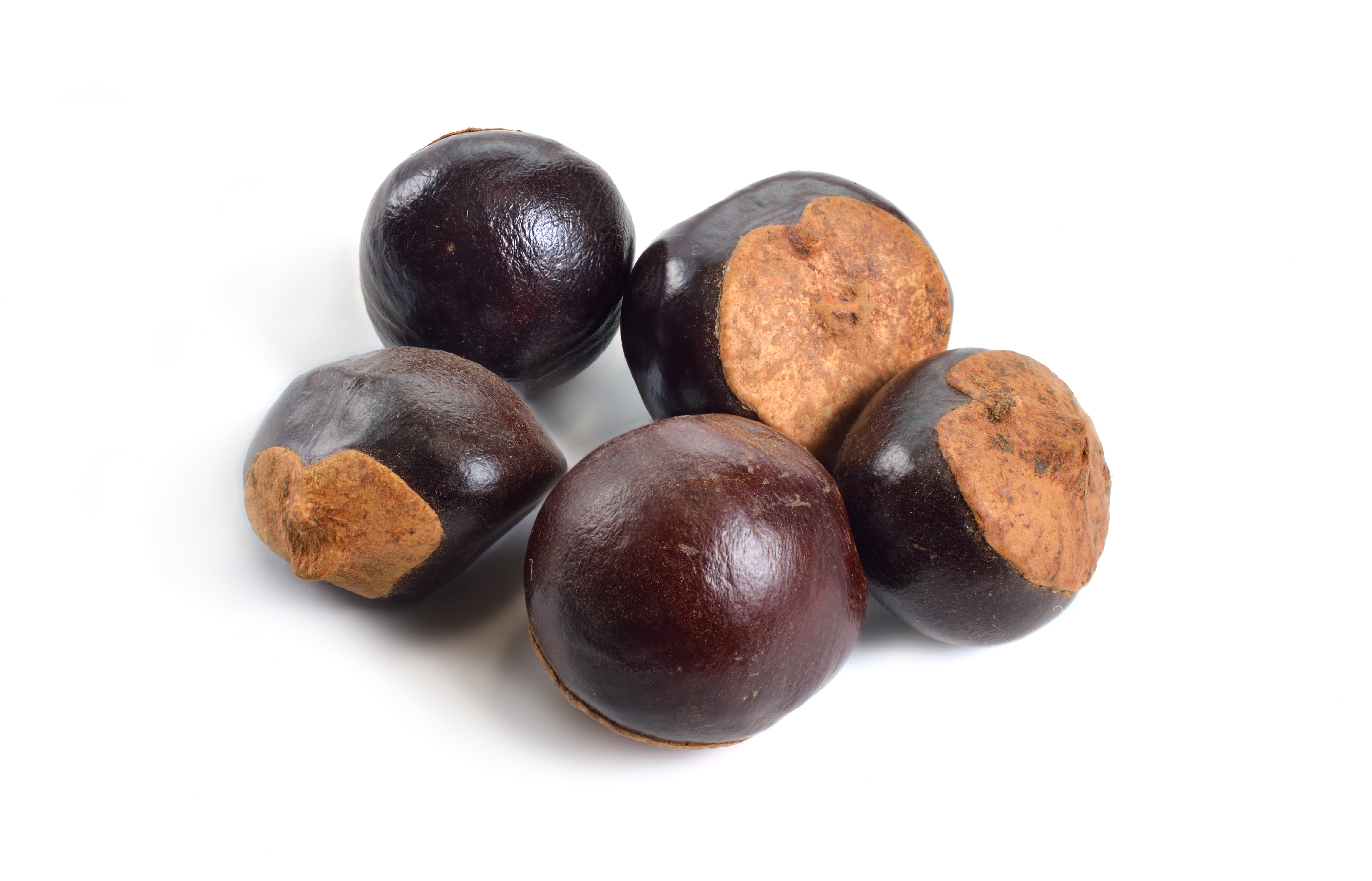Guaraná