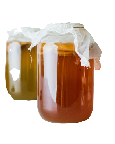 Kombucha