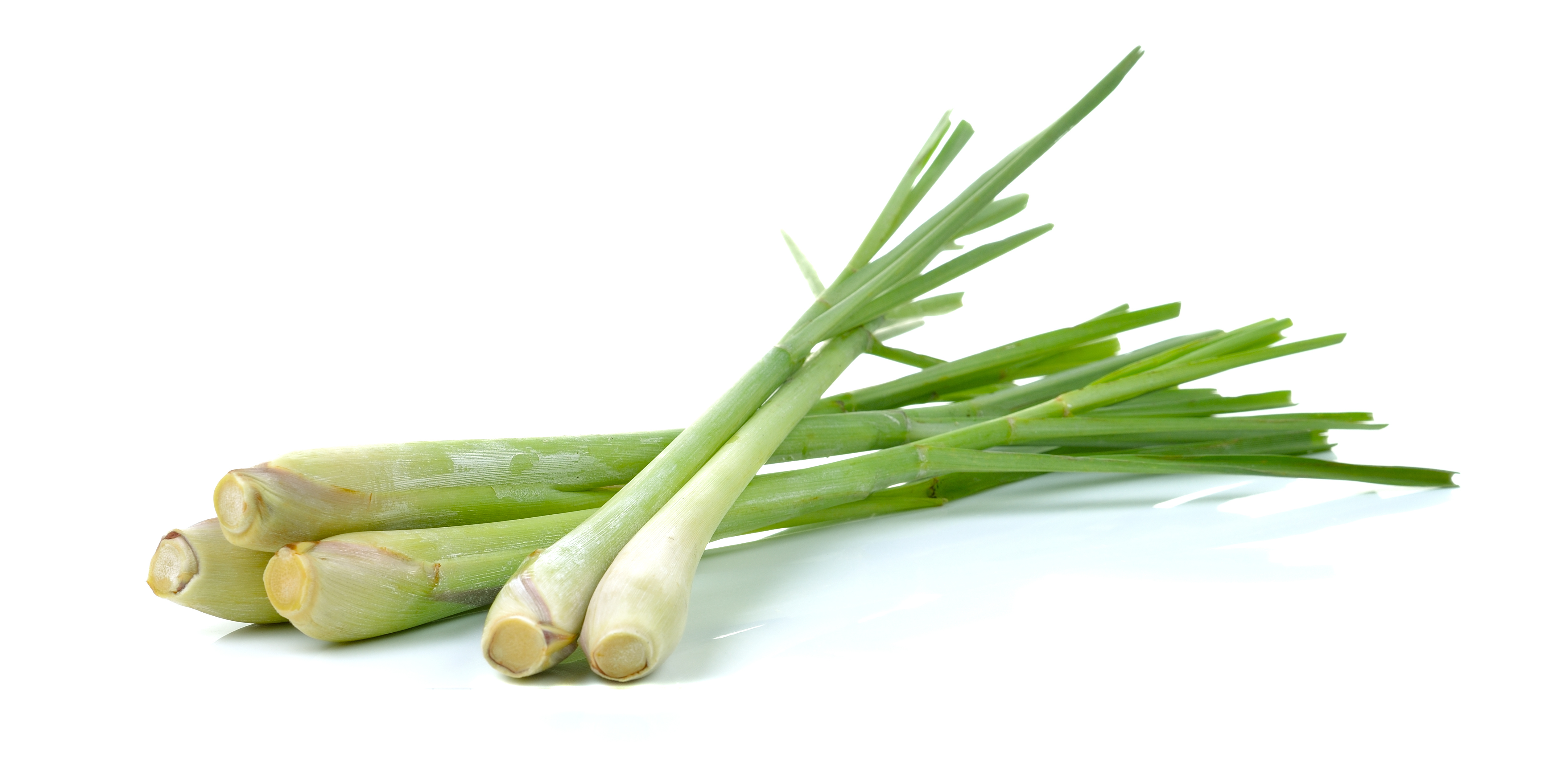 Lemongrass